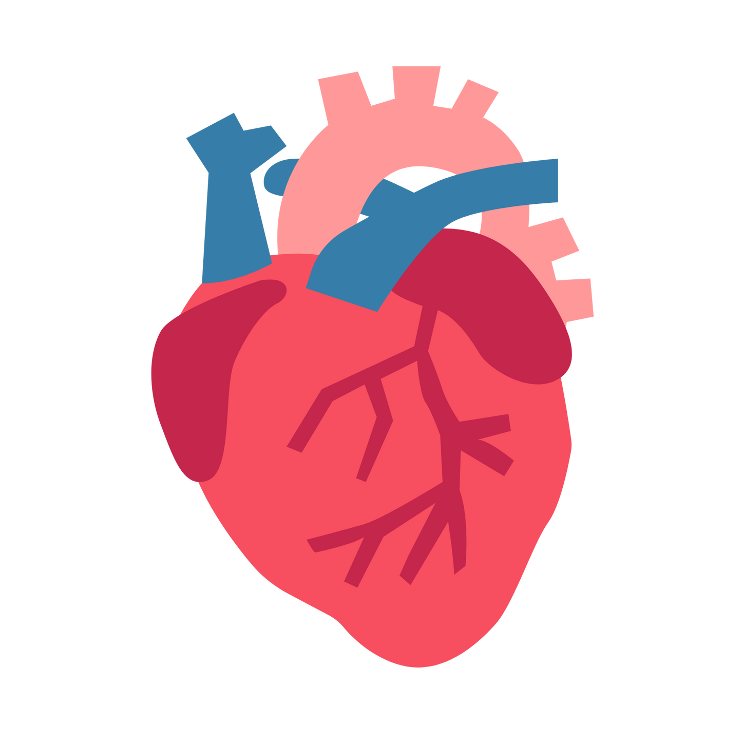 Cardiology Mastery Simplified