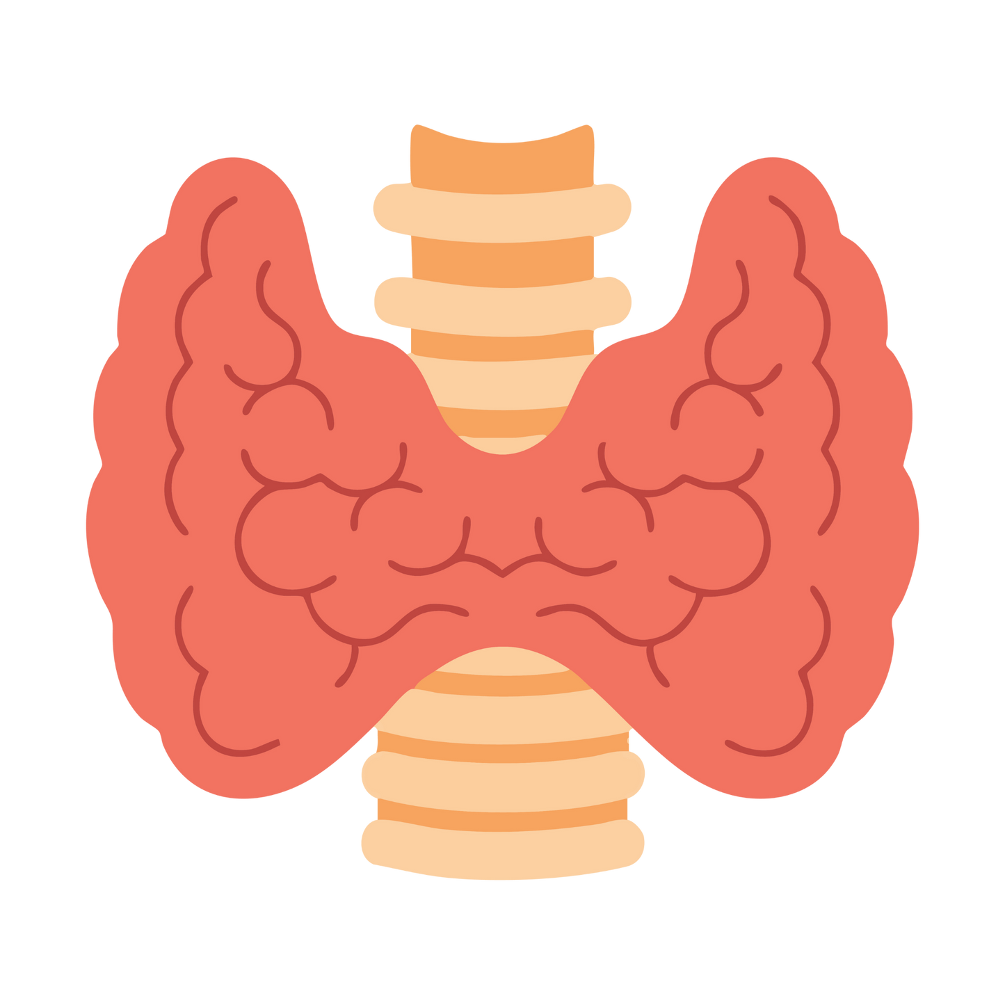 Endocrine System Mastery Simplified