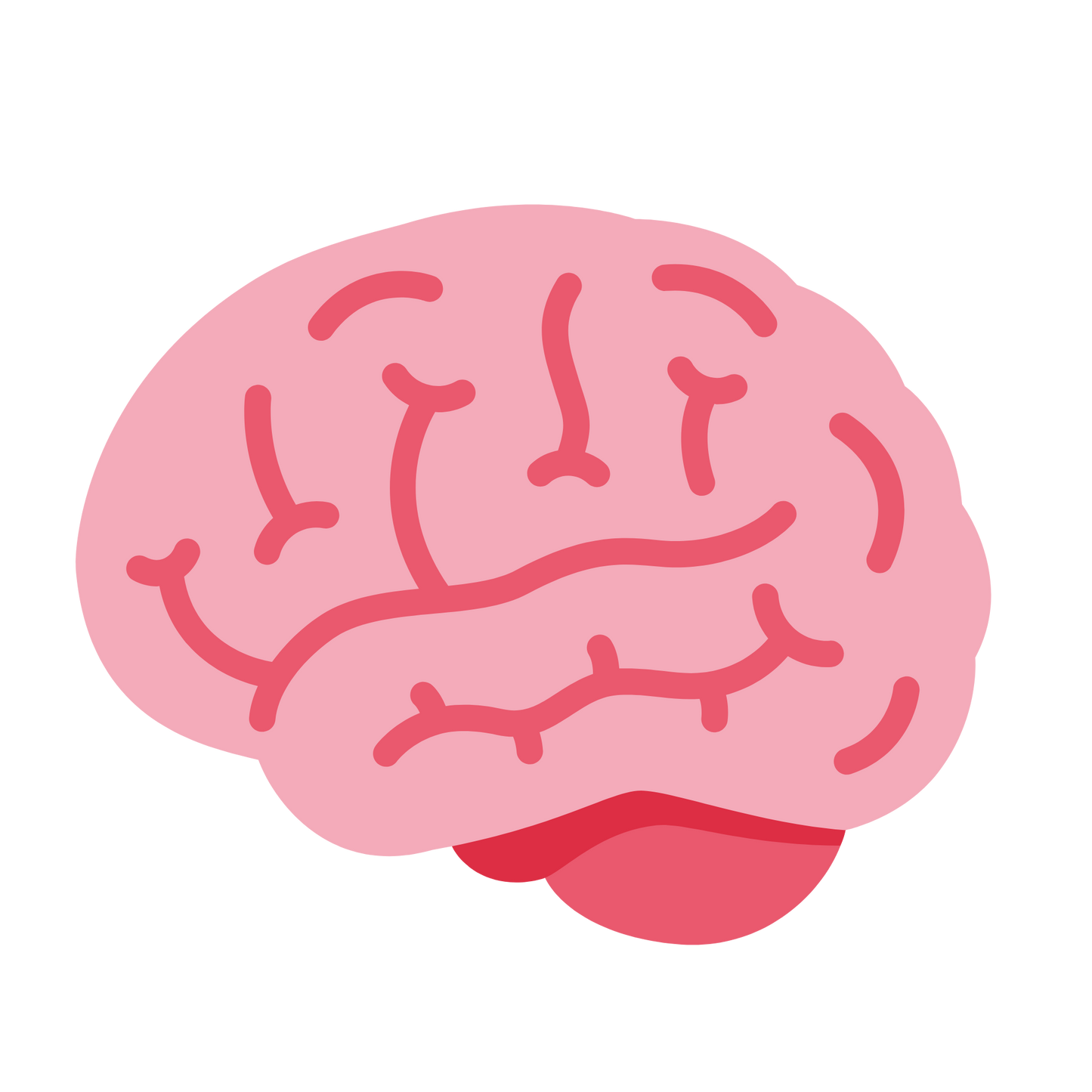 Neurology Mastery Simplified
